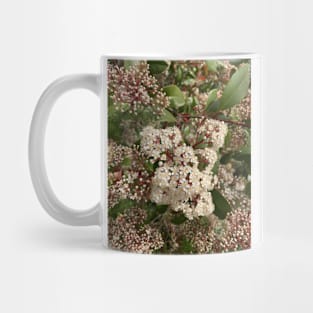 Beautiful nature Mug